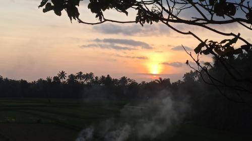 Photo of Others in Tetebatu