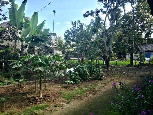 Photo of Outdoor in Kecamatan Sikur