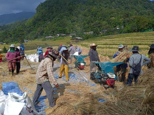 Photo of Others in Mae Chaem