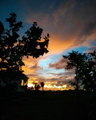 Photo of Others in Medewi