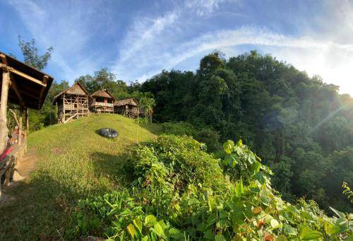 Photo of Others in Bukit Lawang