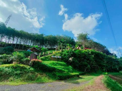 Photo of Others in Phangnga