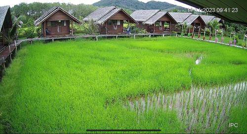 Photo of Others in Ko Yao
