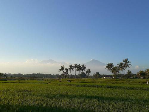 Photo of Others in Kecamatan Sikur