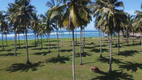 Photo of Others in Nihiwatu