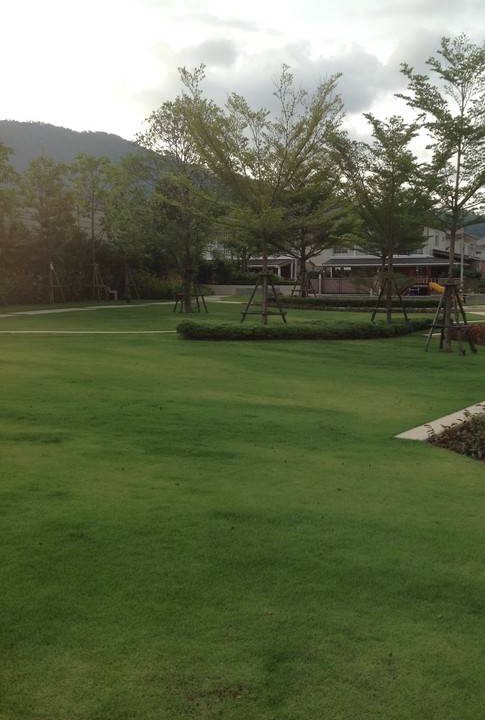 Photo of Others in Nong Chaeng