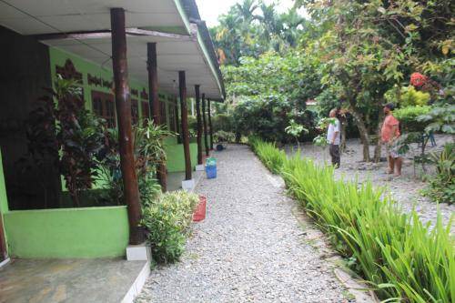 Photo of Others in Bohorok