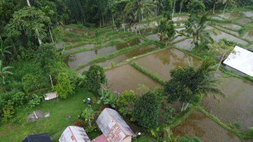 Photo of Others in Tetebatu