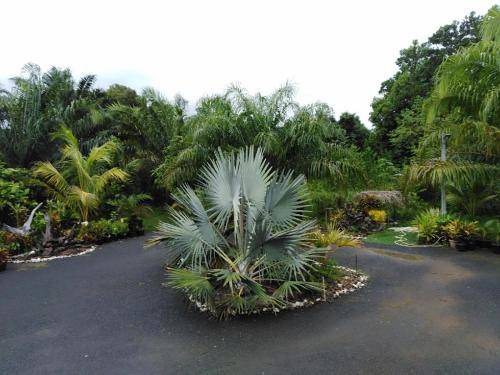 Photo of Outdoor in Phangnga