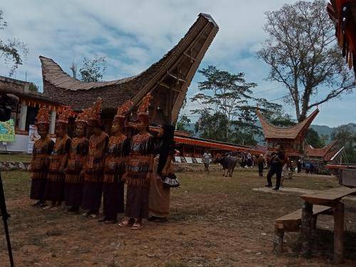 Photo of Others in Rantepao
