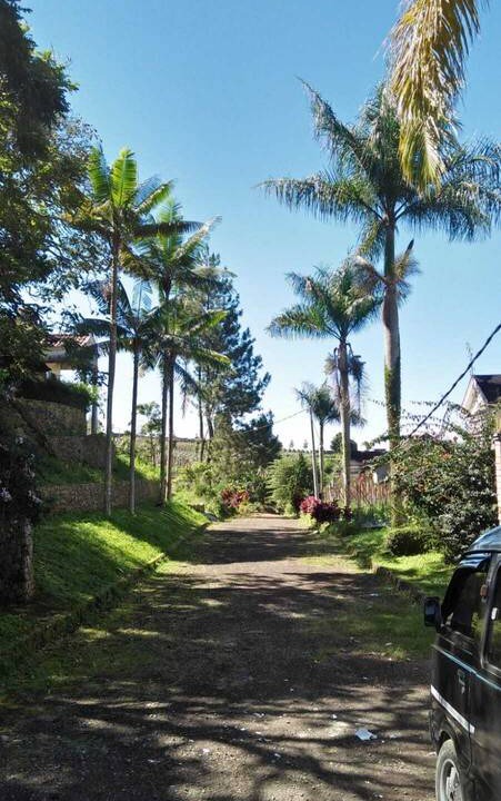 Photo of Others in Cibodas