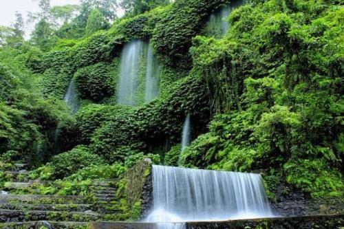 Photo of Others in Tetebatu