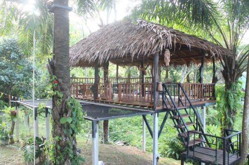 Photo of Others in Ko Lanta