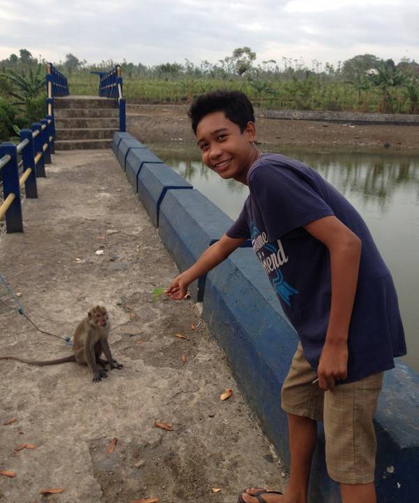 Photo of Others in Jerowaru