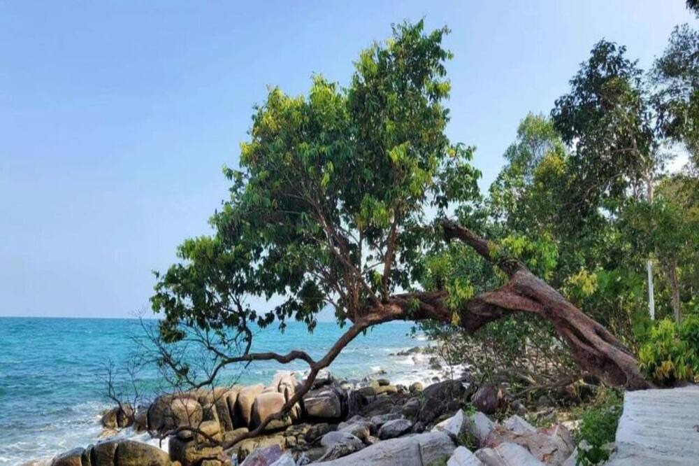 Photo of Livingroom in Koh Rong