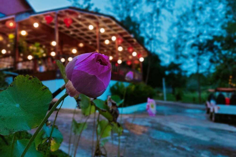 Photo of Outdoor in Koh Rong