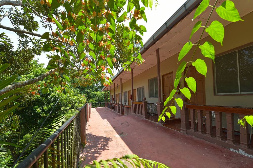 Photo of Outdoor in Kuala Tahan