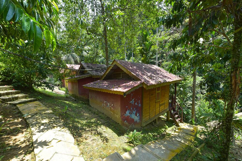 Photo of Outdoor in Kuala Tahan