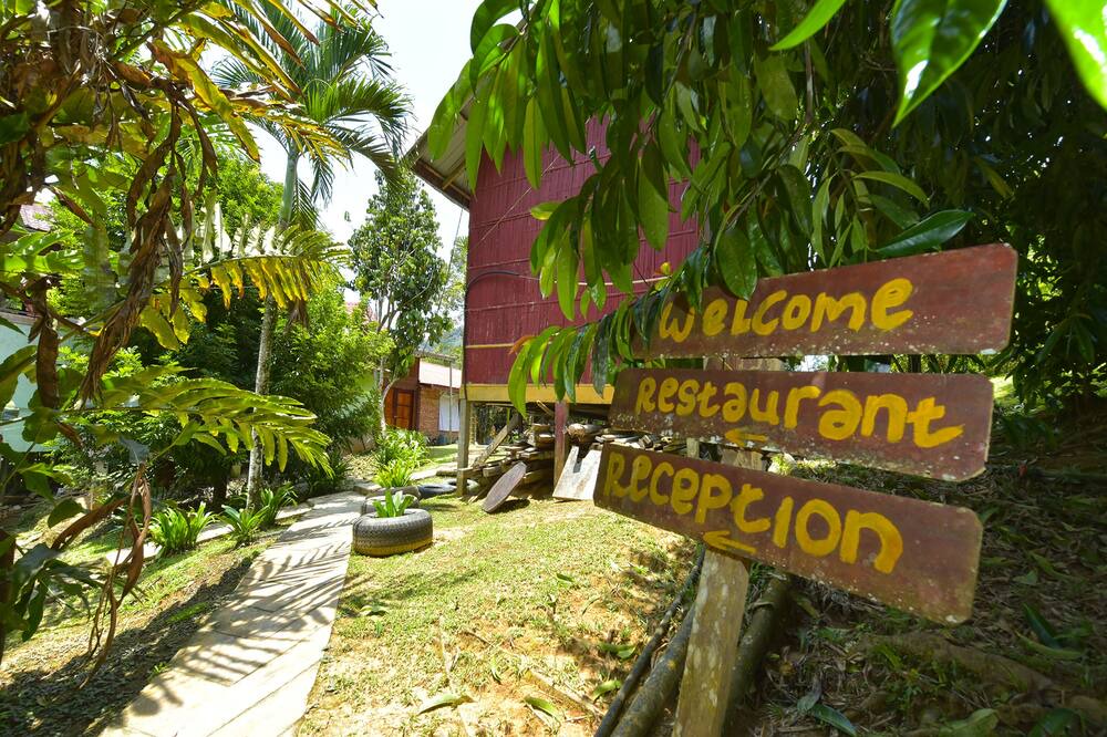 Photo of Outdoor in Kuala Tahan