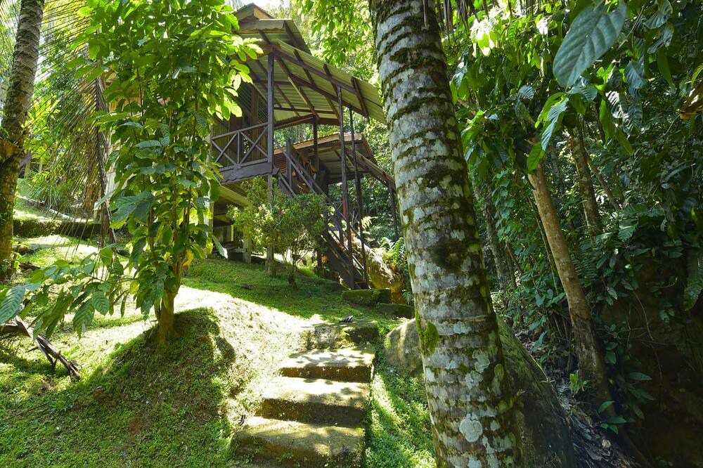 Photo of Outdoor in Kuala Tahan