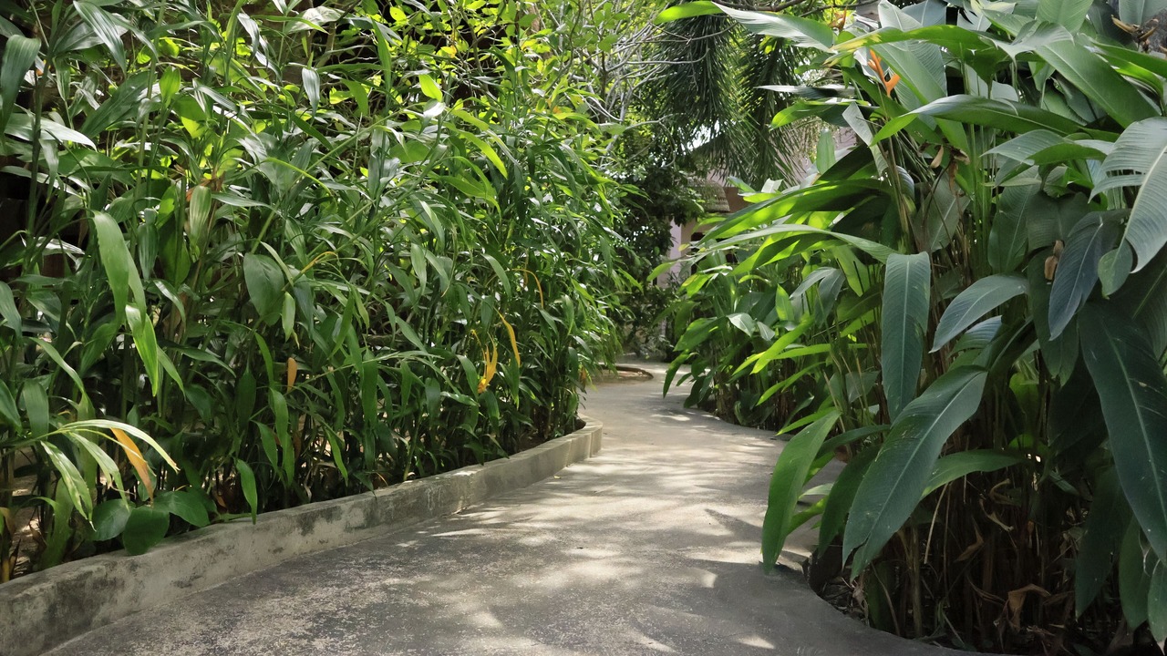 Photo of Outdoor in Krong Kaeb