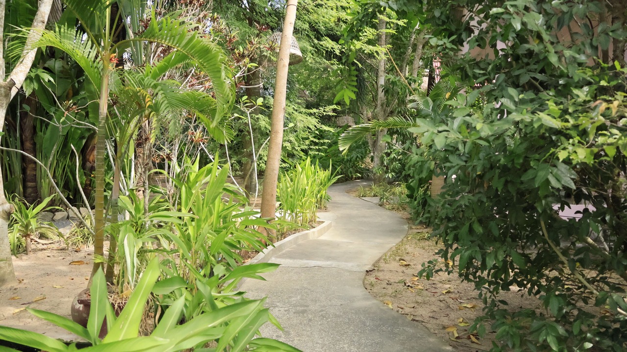Photo of Outdoor in Krong Kaeb