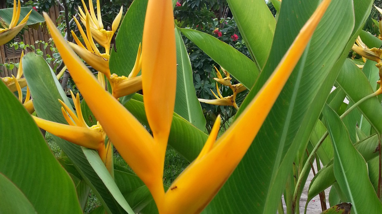 Photo of Outdoor in Krong Kaeb