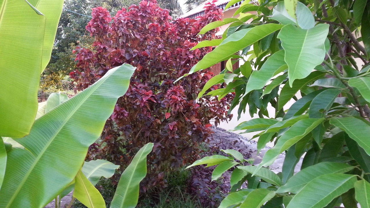 Photo of Outdoor in Krong Kaeb
