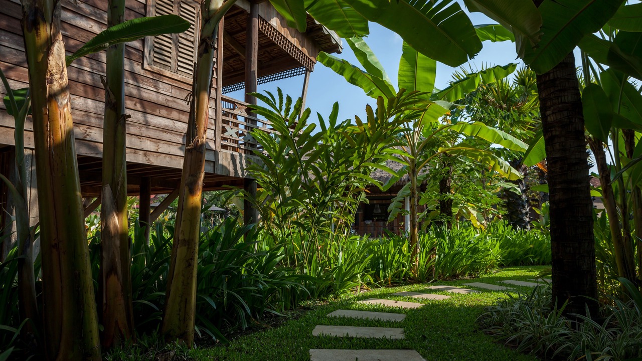 Photo of Outdoor in Siem Reap