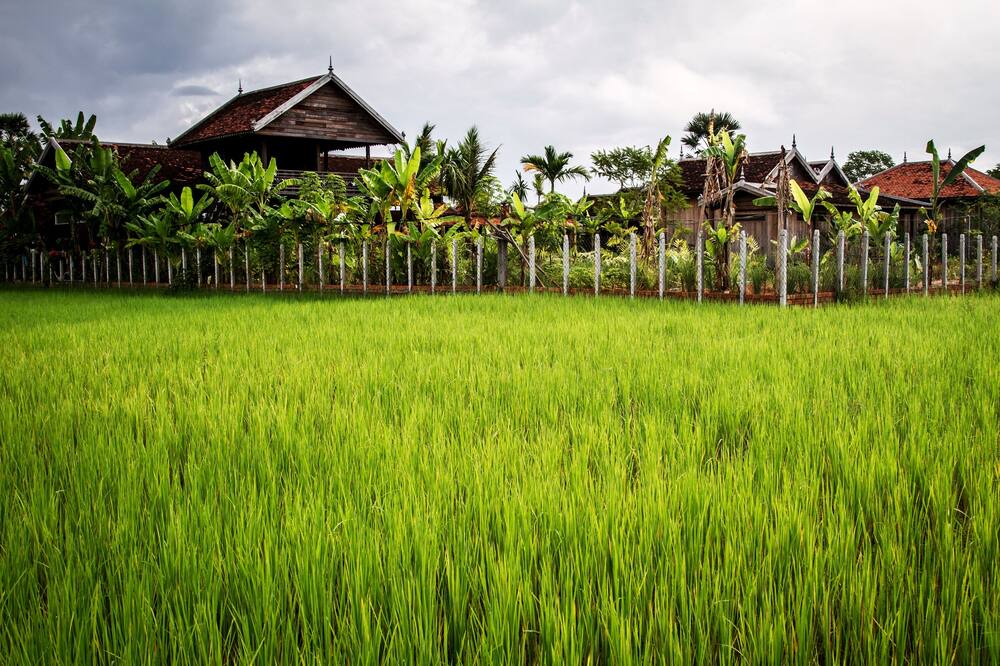 Photo of Outdoor in Prasat Bakong