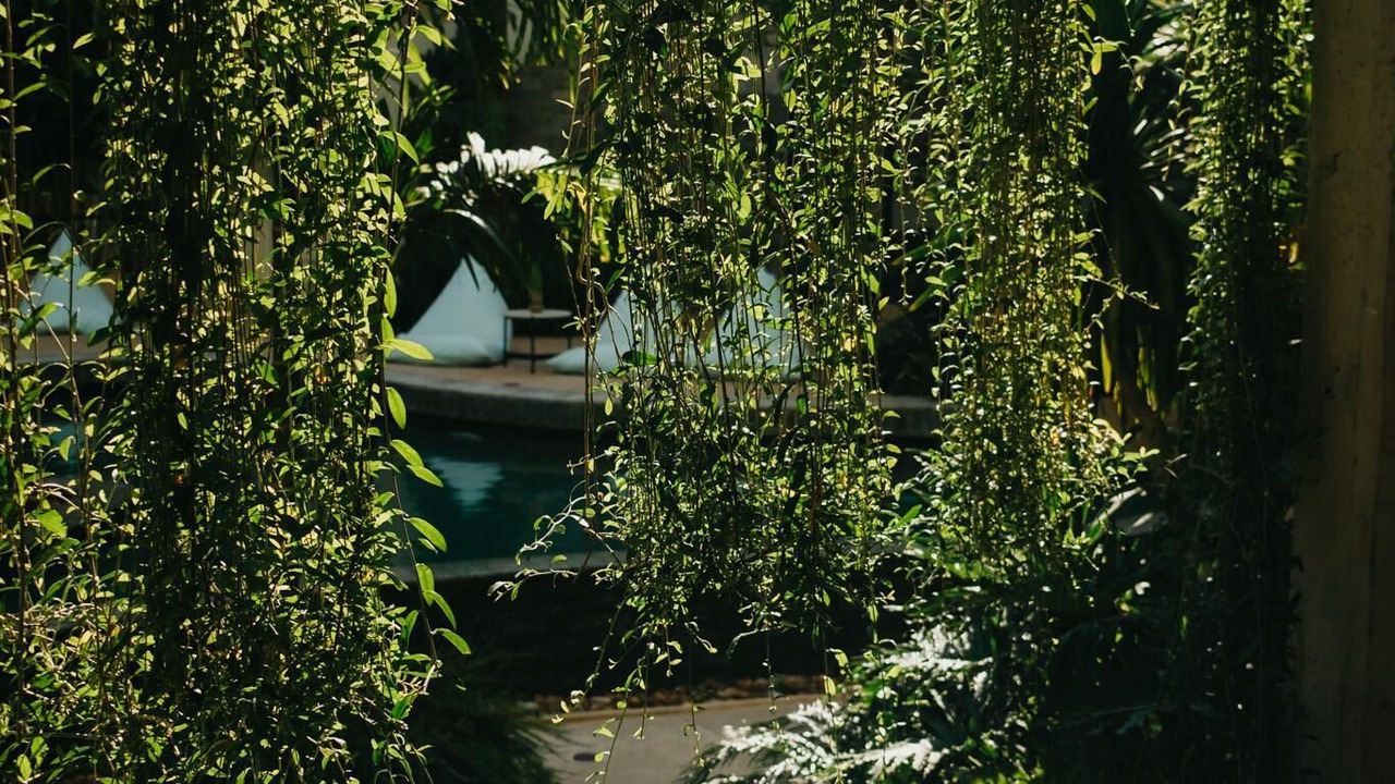 Photo of Outdoor in Siem Reap