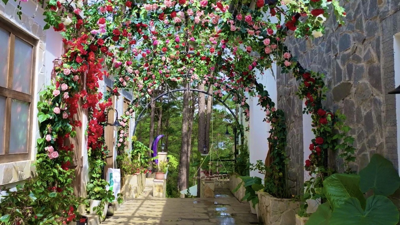 Photo of Outdoor in Kon Plong