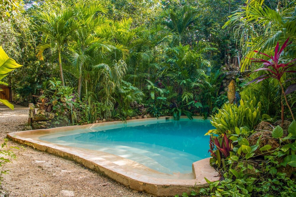 Photo of Outdoor in Leona Vicario