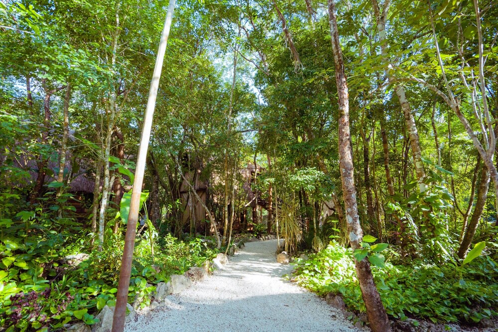 Photo of Outdoor in Leona Vicario