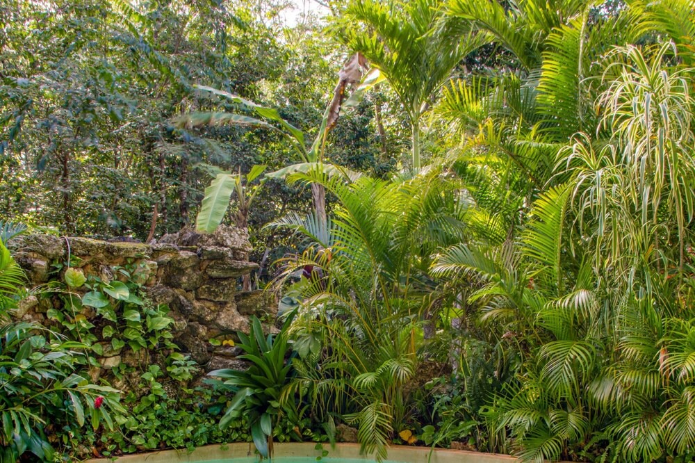 Photo of Outdoor in Leona Vicario