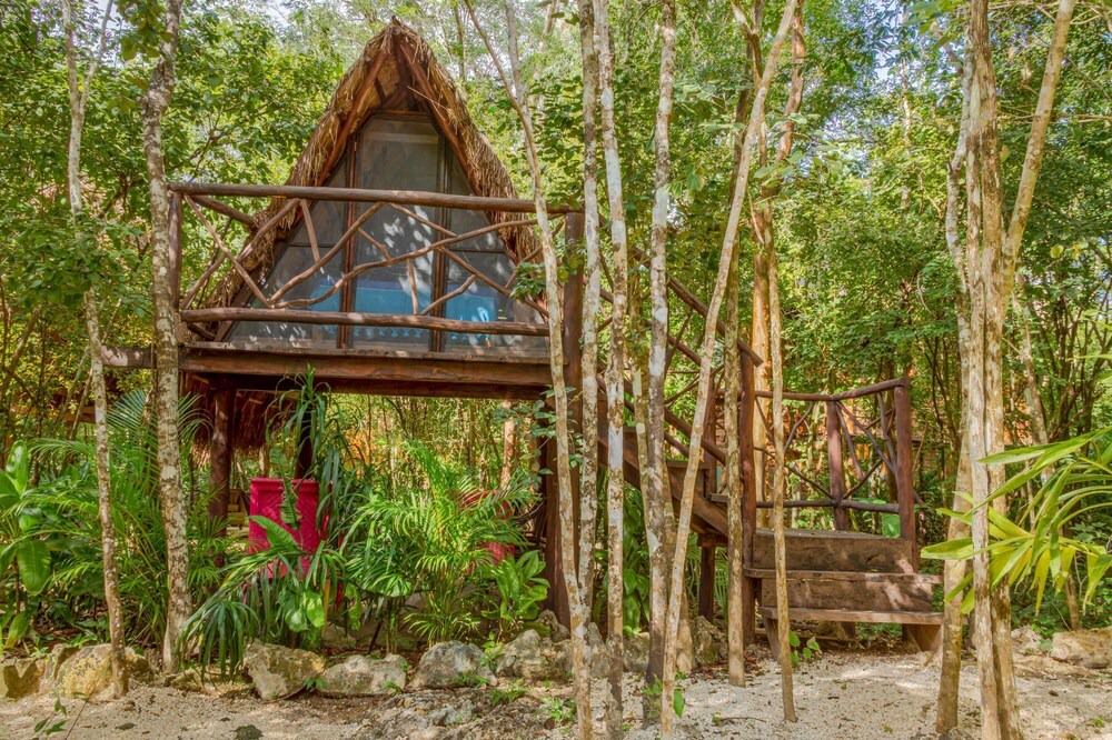 Photo of Outdoor in Leona Vicario