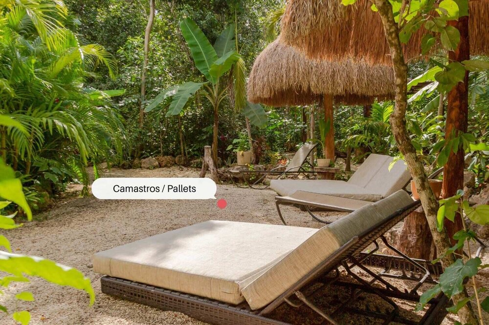 Photo of Outdoor in Leona Vicario