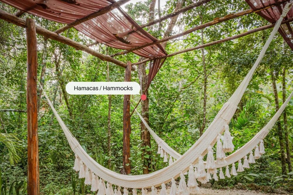 Photo of Outdoor in Leona Vicario