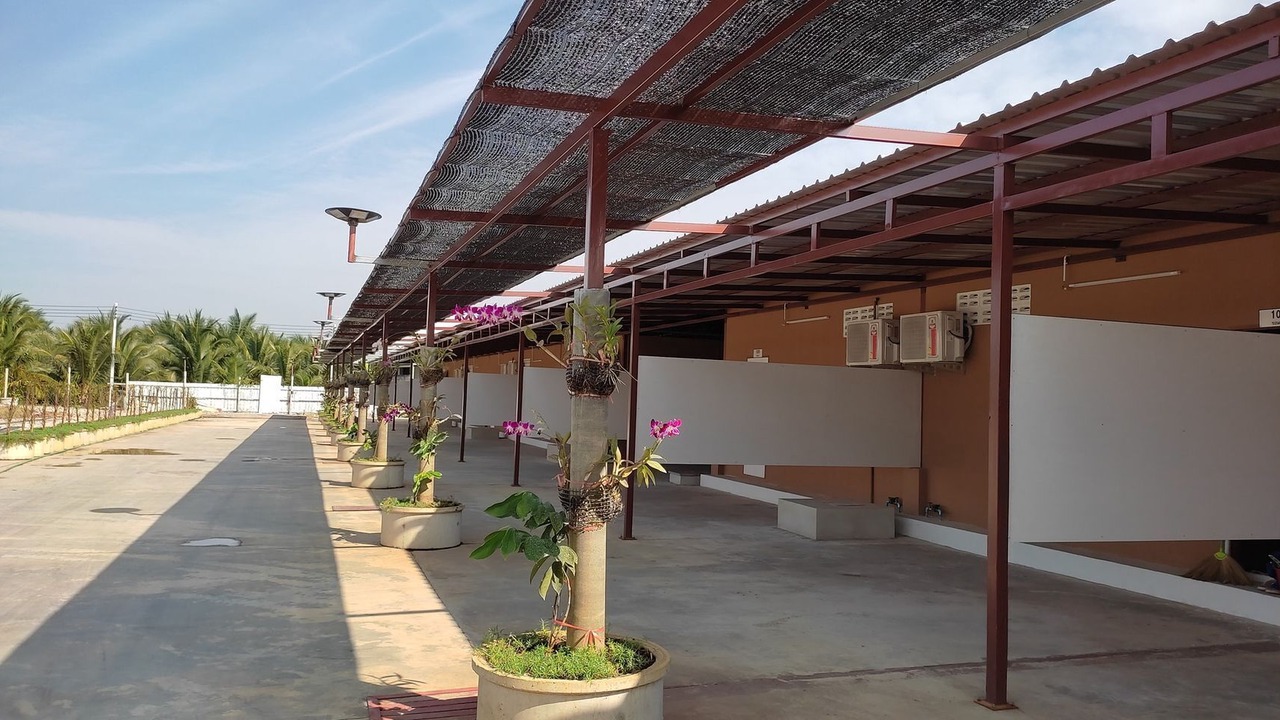 Photo of Outdoor in Bang Phae