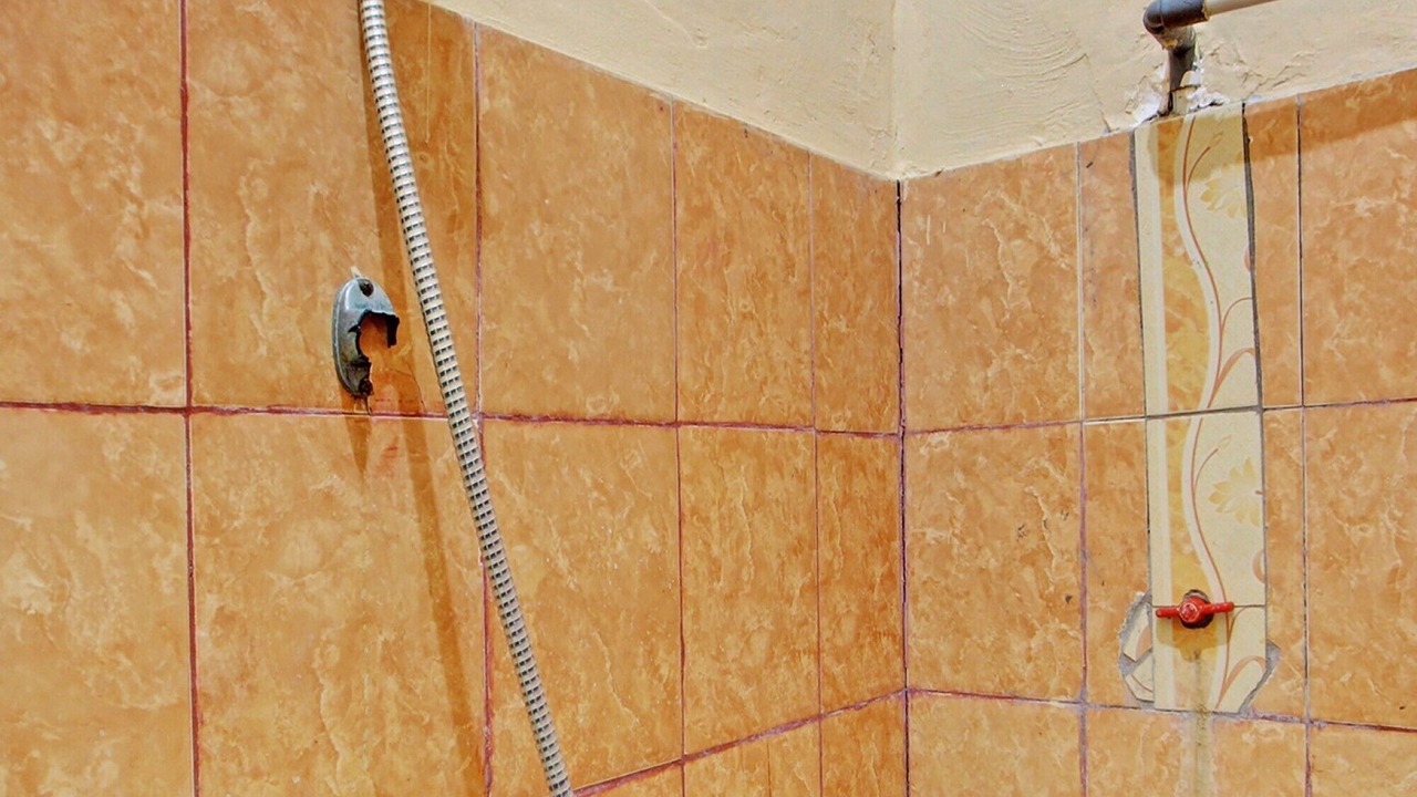 Photo of Bathroom in Muncan