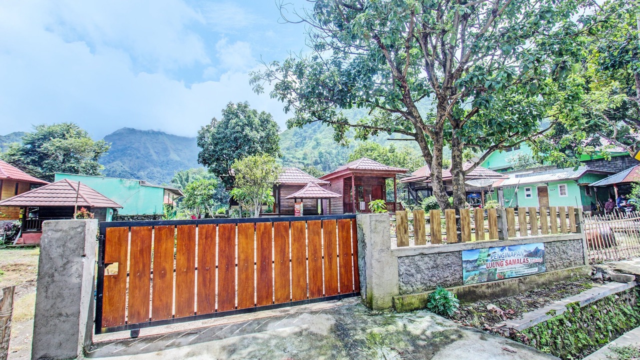 Photo of Outdoor in Sembalunbumbung