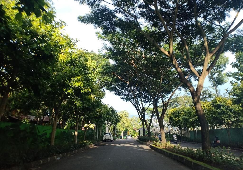 Photo of Others in Malang