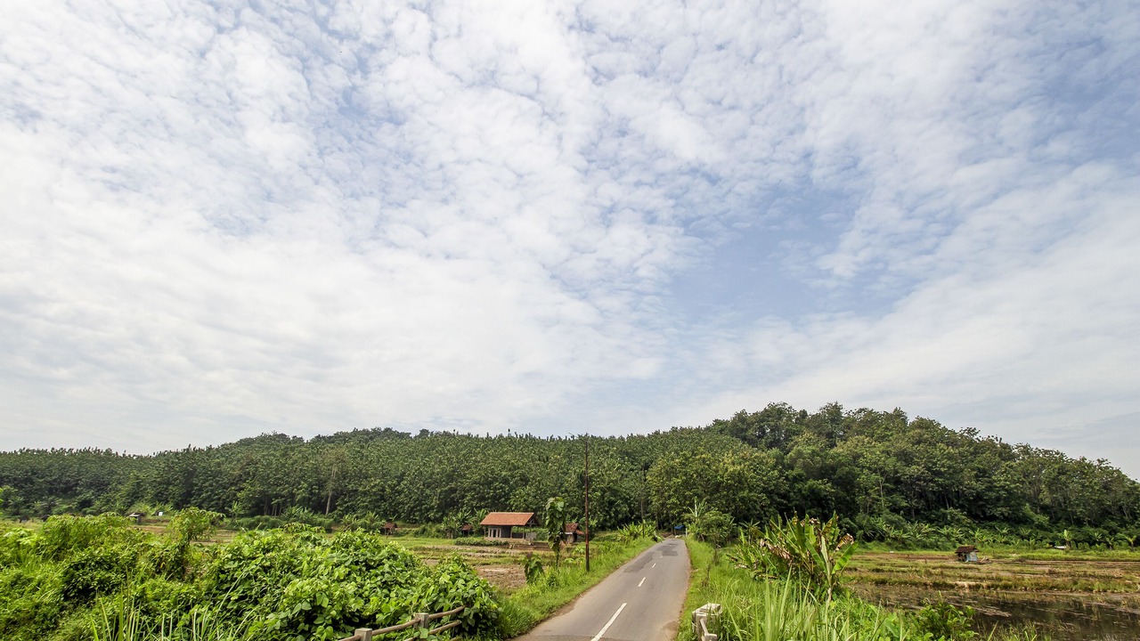 Photo of Outdoor in Rendeh