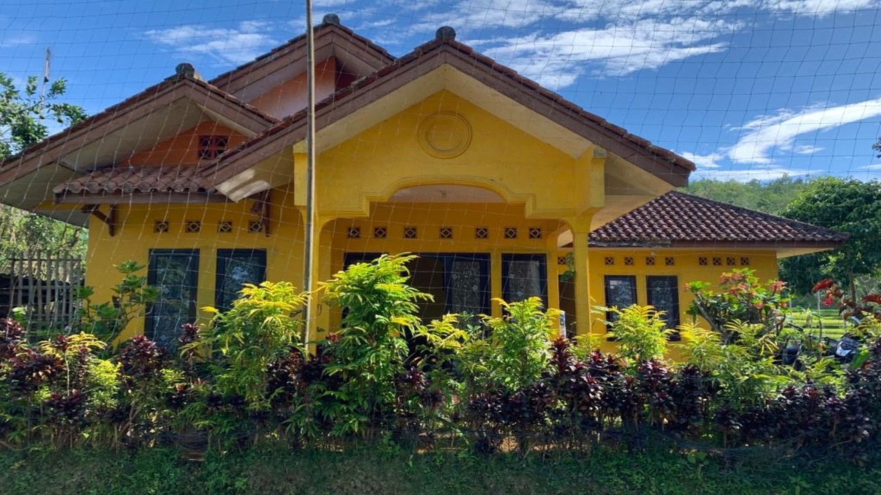 Photo of Outdoor in Java