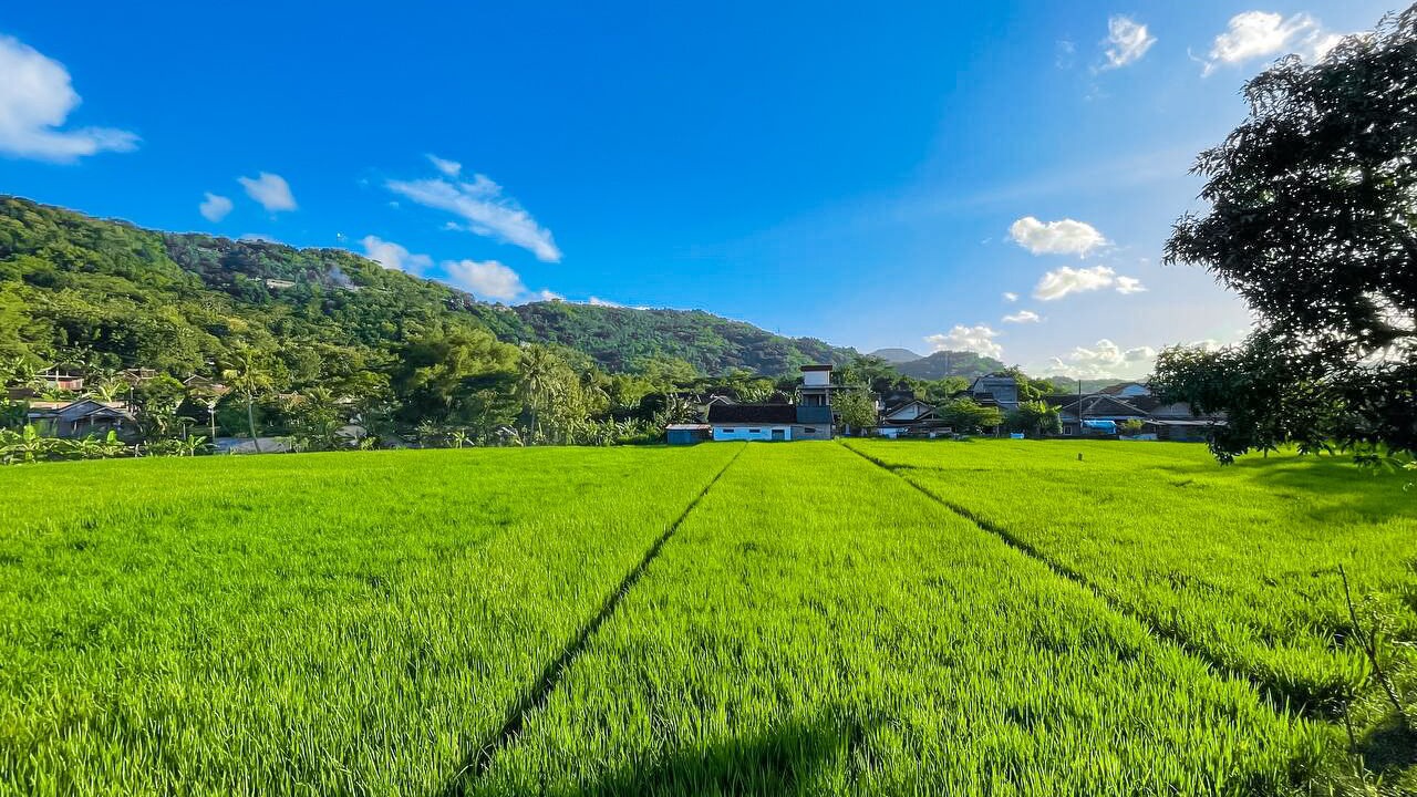 Photo of Outdoor in Banjarasri