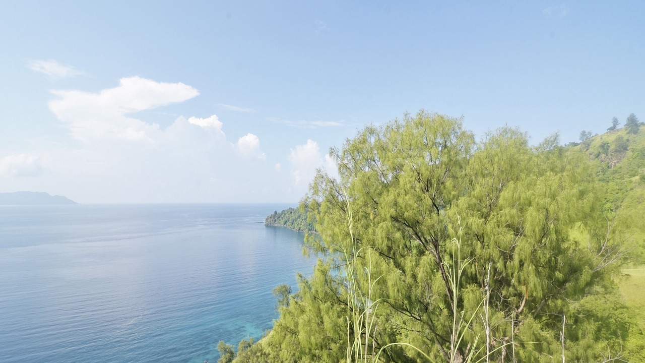 Photo of Outdoor in Manado City Centre