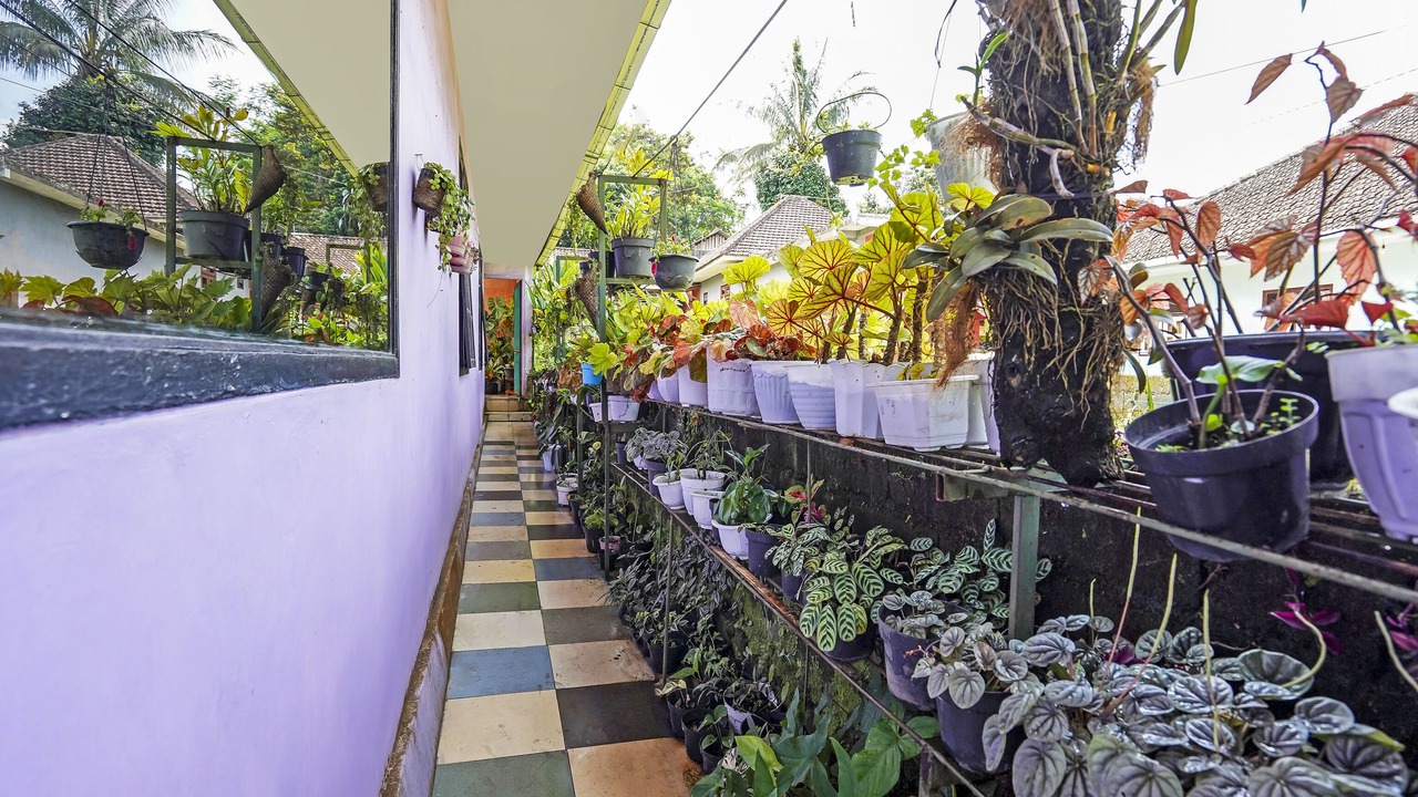 Photo of Outdoor in Sei Pinang
