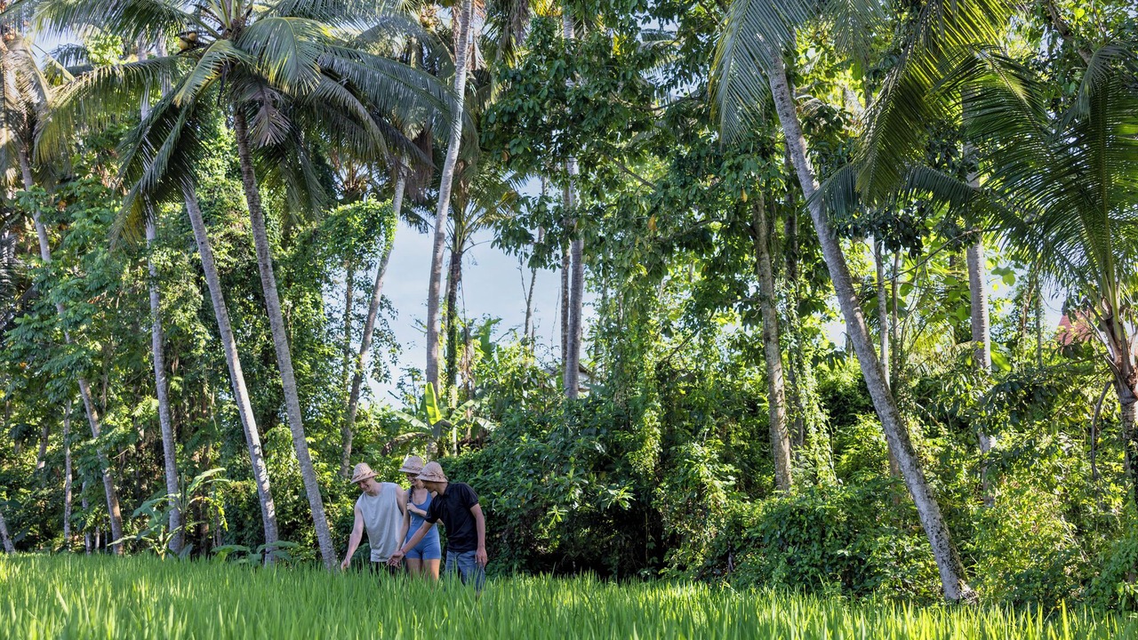 Photo of Outdoor in Ubud