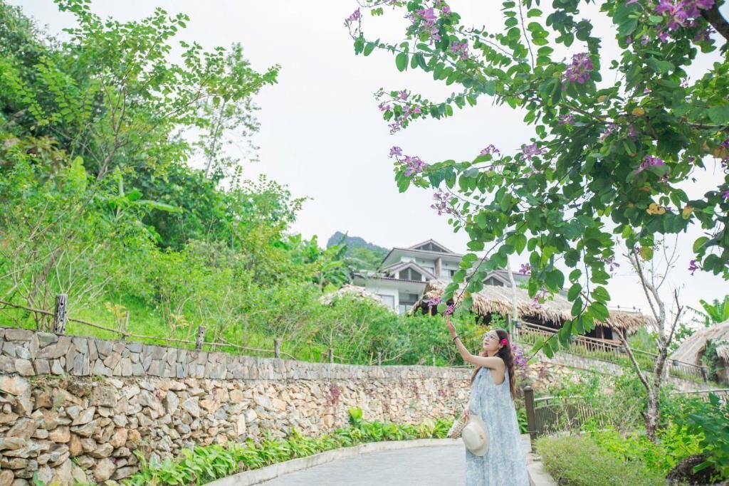 Photo of Others in Pu Long Nature Reserve
