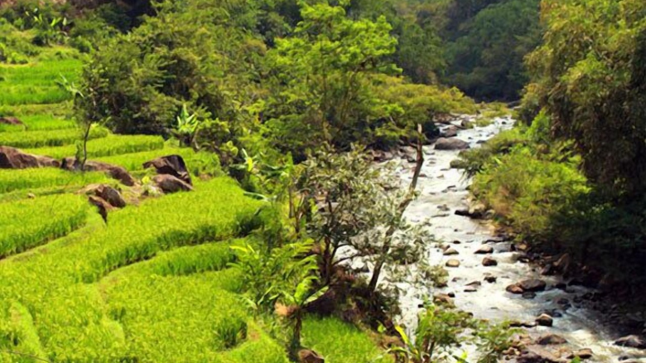 Photo of Outdoor in Pasirjambu